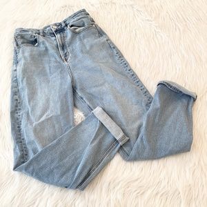 American Eagle Curvy mom Jean